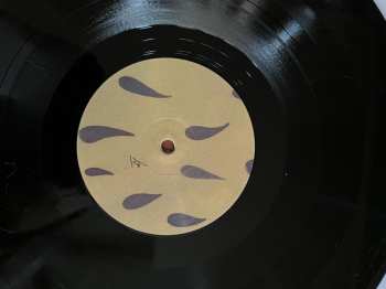 LP Sylvain Darrifourcq: Unicorn And Flexibility LTD