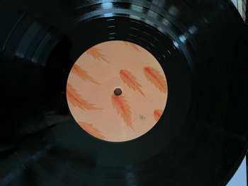 LP Sylvain Darrifourcq: Unicorn And Flexibility LTD