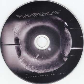2CD Synapsyche: Anti LTD