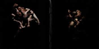 CD Syndone: Kama Sutra LTD