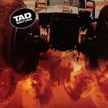 LP Tad: Salt Lick LTD | DLX | CLR
