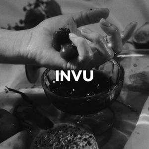 CD 태연: INVU LTD
