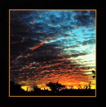 CD Masayoshi Takanaka: Hunpluged