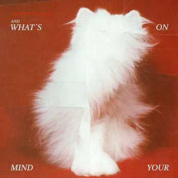 LP Talking To Turtles: And What's On Your Mind