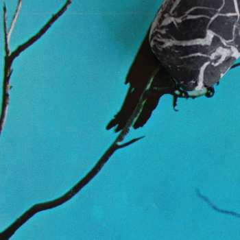 CD Tangents: Stateless