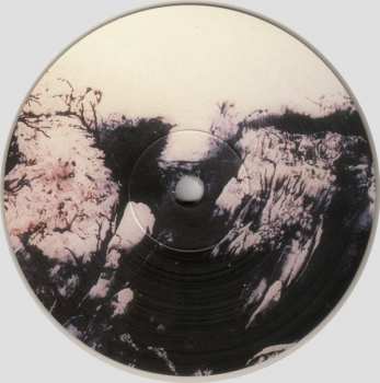 LP Tangerine Dream: Alpha Centauri CLR