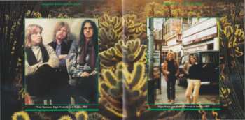 CD Tangerine Dream: Green Desert