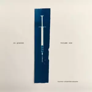 Taumel: In Pieces Vol.1