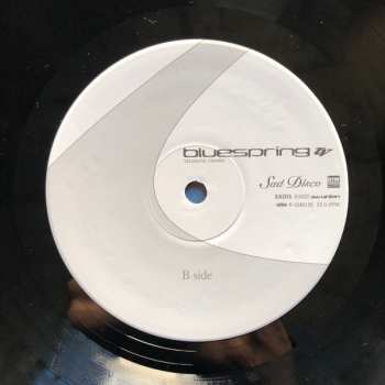 LP Telematic Visions: Bluespring LTD