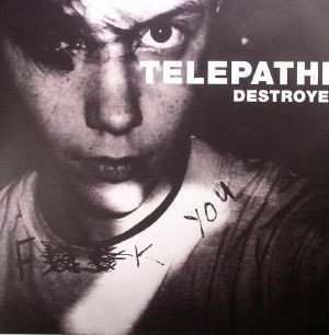 Album Telepathe: Destroyer
