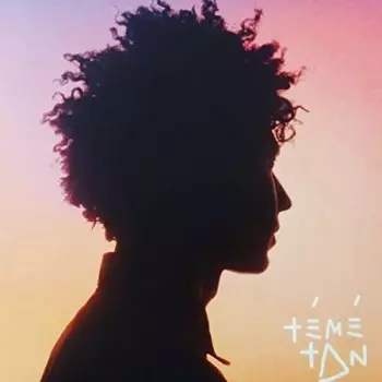 Témé Tan
