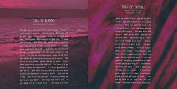 2CD/DVD/Box Set/Blu-ray Temple Of The Dog: Temple Of The Dog DLX | LTD