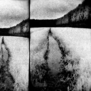 LP Tenebrous Liar: the cut