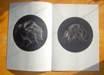 LP Terence Hannum: Spectral Life