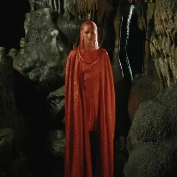 Teresa Rotschopf: Currents & Orders