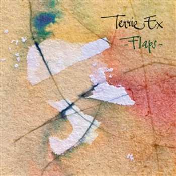 CD Terrie Ex: Flaps