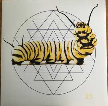 LP Anton Newcombe: Cocaine Cat LTD | NUM