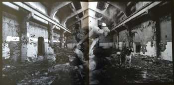 LP Test Dept.: Disturbance
