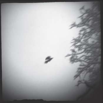 LP Thalia Zedek Band: Eve