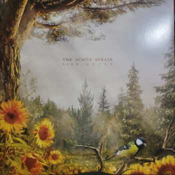 LP The Acacia Strain: Slow Decay CLR | LTD