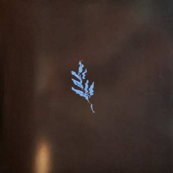 LP The Album Leaf: Between Waves