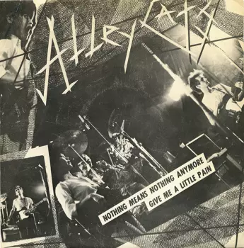 The Alley Cats: Nothing Means Nothing Anymore / Give Me A Little Pain