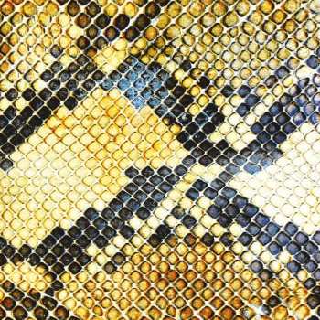 CD The Amazing Snakeheads: Amphetamine Ballads