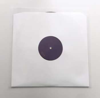 LP The Analog Roland Orchestra: Roden Crater Vision