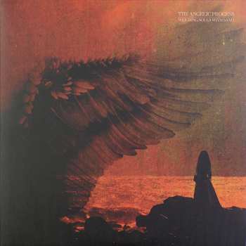 6LP/Box Set The Angelic Process: We All Die Laughing DLX | LTD