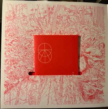 LP The Avett Brothers: The Avett Brothers CLR