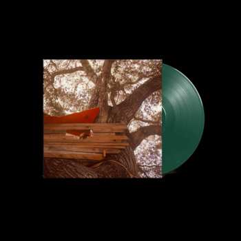 LP The Backseat Lovers: Waiting to Spill CLR | LTD