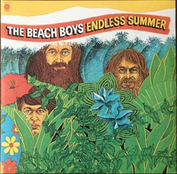 2LP The Beach Boys: Endless Summer LTD