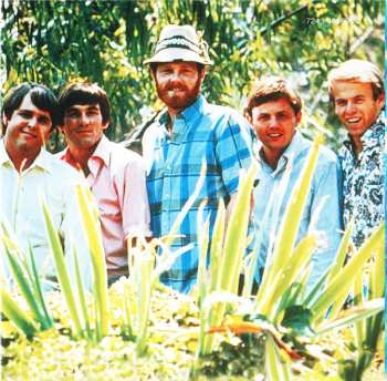 CD The Beach Boys: Greatest Hits