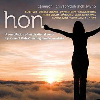 CD The Beach Boys: Hon / Various