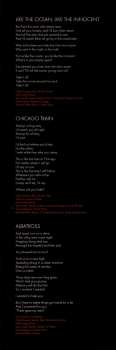 LP The Besnard Lakes: The Besnard Lakes Are The Roaring Night