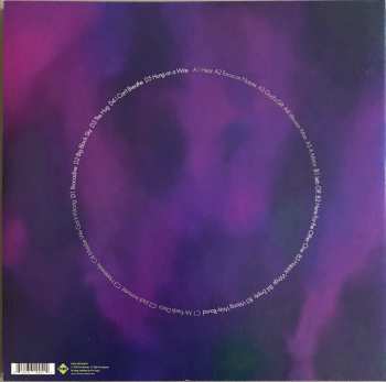 2LP The Bevis Frond: Focus On Nature CLR | LTD