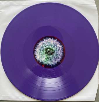 2LP The Bevis Frond: Focus On Nature CLR | LTD