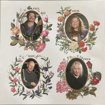 2LP The Bevis Frond: Focus On Nature CLR | LTD