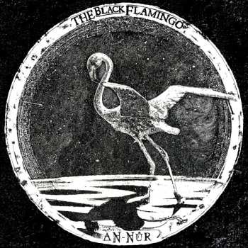 LP The Black Flamingo: An​-​N​û​r CLR | LTD