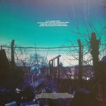 2LP/2CD/DVD/SP/Box Set Suede: The Blue Hour DLX | LTD