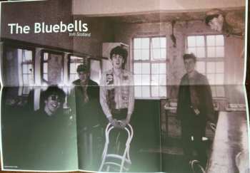SP The Bluebells: Everybody's Somebody's Fool CLR | LTD