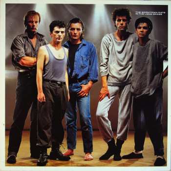 LP The Boomtown Rats: In The Long Grass