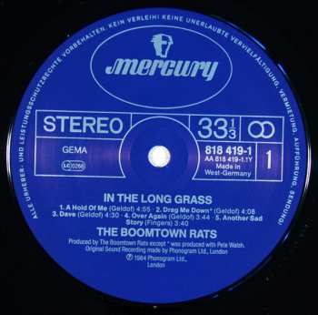 LP The Boomtown Rats: In The Long Grass