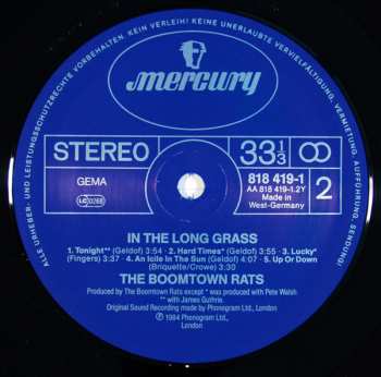 LP The Boomtown Rats: In The Long Grass