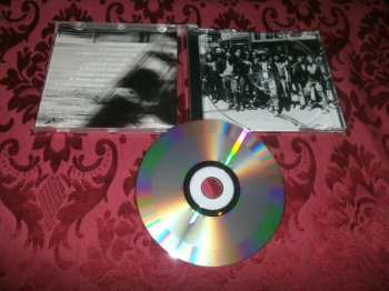 CD The Boyzz: Too Wild To Tame