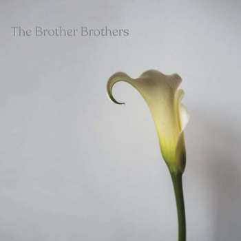 CD The Brother Brothers: Calla Lily