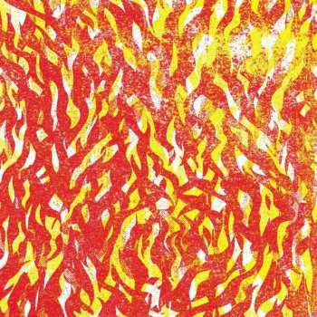 CD The Bug: Fire