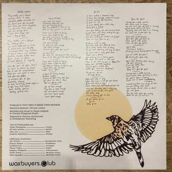 LP The Buttshakers: Arcadia
