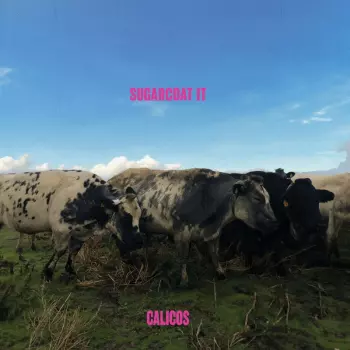 The Calicos: Sugarcoat It