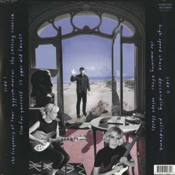 LP The Casual Dots: Sanguine Truth